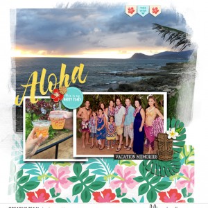Hawaii-7.19.15 Page1