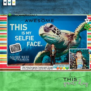 2018-Mar-Matthew-TurtleSelfie-copy