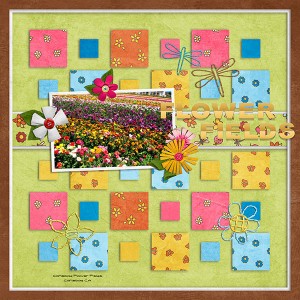 flower fields