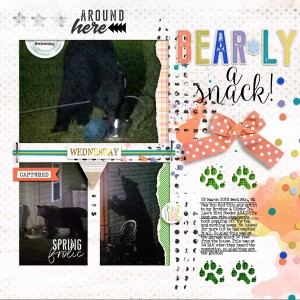 Bearly a Snack