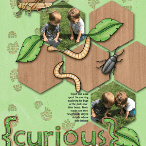 Cayton-bugs-2-web