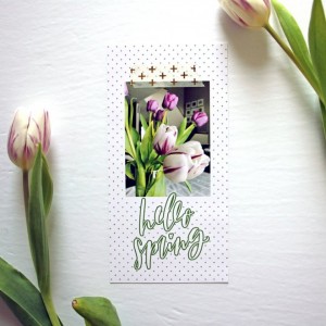Hello Spring