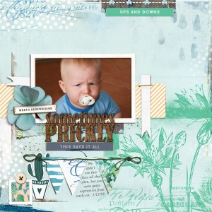 Lynn G Apr designer chall