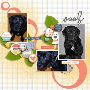 Woof