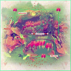 Photography Challenge-April-Before & After-Bleeding Love