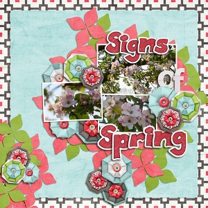 Signs Of Spring