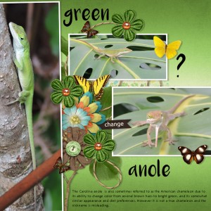 18mar_anole