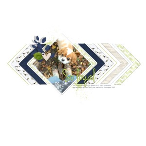 Scraplift Challenge - April 18