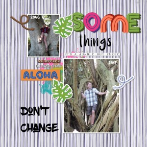 18_06_Hawaii_JB01