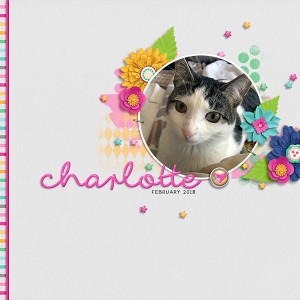 charlotte