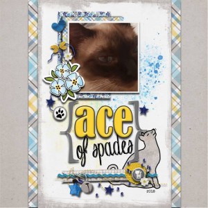 Ace-of-spades