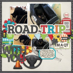 Road Trip With You