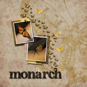 Monarch
