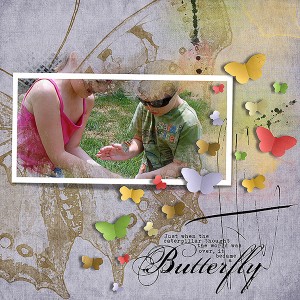 butterfly