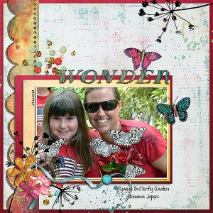 wonder