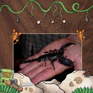 Tackling-Nature-kate-hadfie