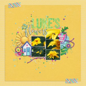 Luke's Flowers