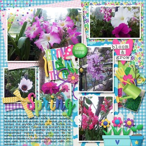 Spring