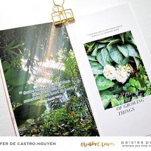 Conservatory (page 1+2 close up)
