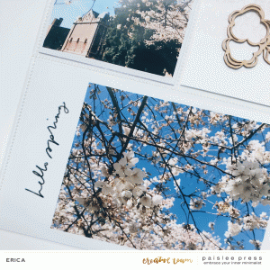 Cherry Blossoms layout (5)