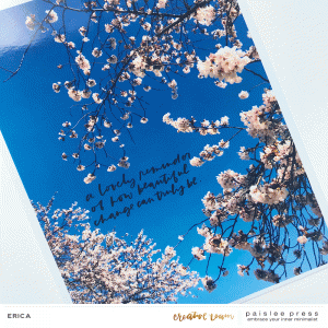 Cherry Blossoms layout (3)