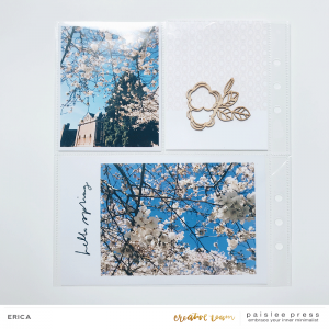 Cherry Blossoms layout (2)