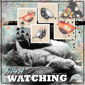 Bird Watching (londoncuppa)