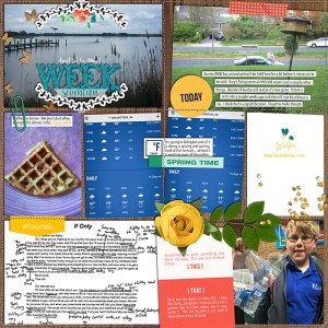 2016 - Week 17 - 1