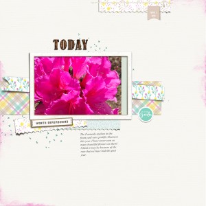 Azaleas