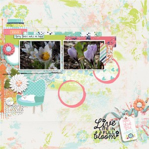 Full Bloom