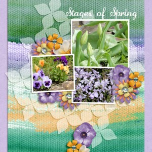 Stages-of-Spring
