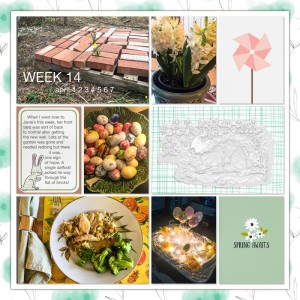 18-wk-14-left_web
