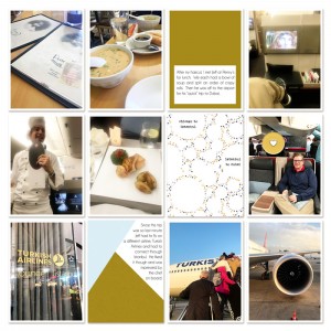 PL 2018 March Page8