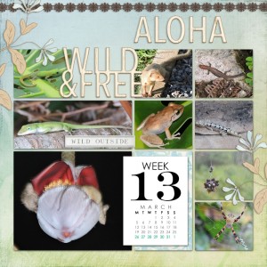 18_week13