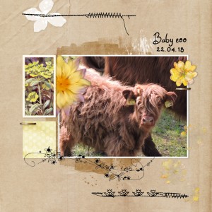 18apr22_coo
