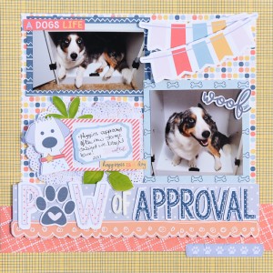 Paw of Approval-Hybrid iNSD Challenge