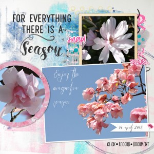 18apr14_magnolia01