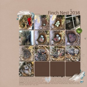 April_2018_Inspiration_Challenge