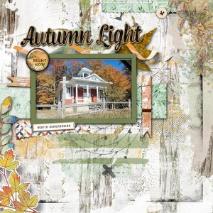 Lynn Grieveson April Challenge