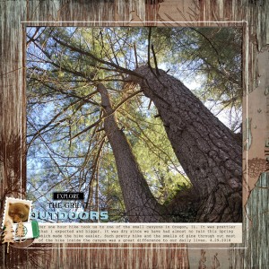 Explore The Great Outdoors
