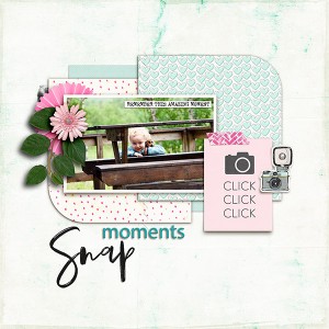 Snapshots