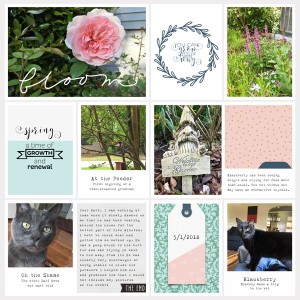 First-Week-May