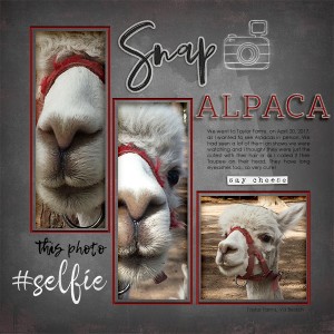 Alpaca (May Scraplift Challenge)