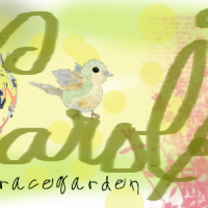 INSD Siggy