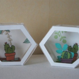 Hybrid terrariums