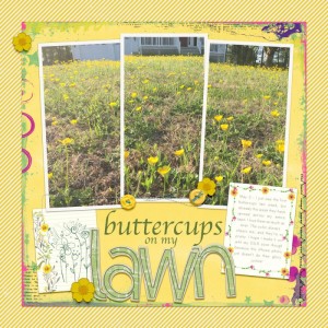 insd slow scrap - buttercups on my lawn