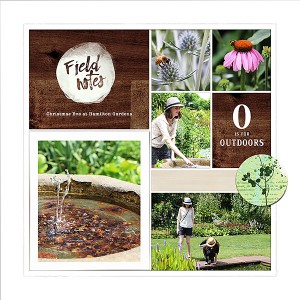 Hamilton Gardens