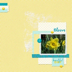 Bloom