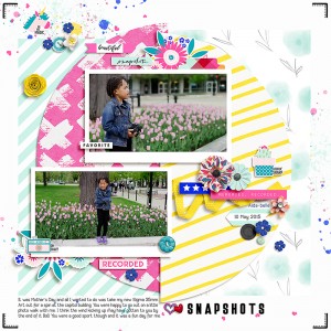snapshots
