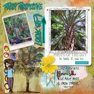 Palmetto Pride PHOTOG may18